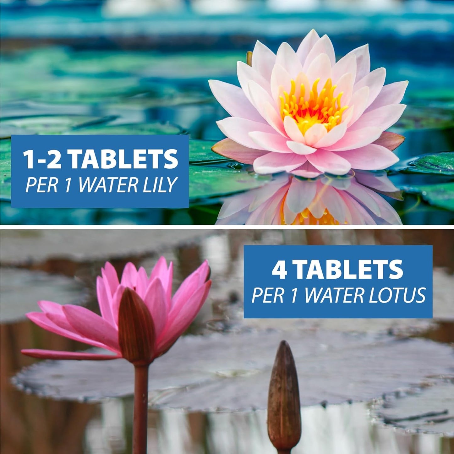 CrystalClear Thrive Aquatic Pond Plant Food, Fish Safe Water Garden Fertilizer, Nutrients Boost Lily & Lotus Flower Bloom & Root Growth, 30 Tablets