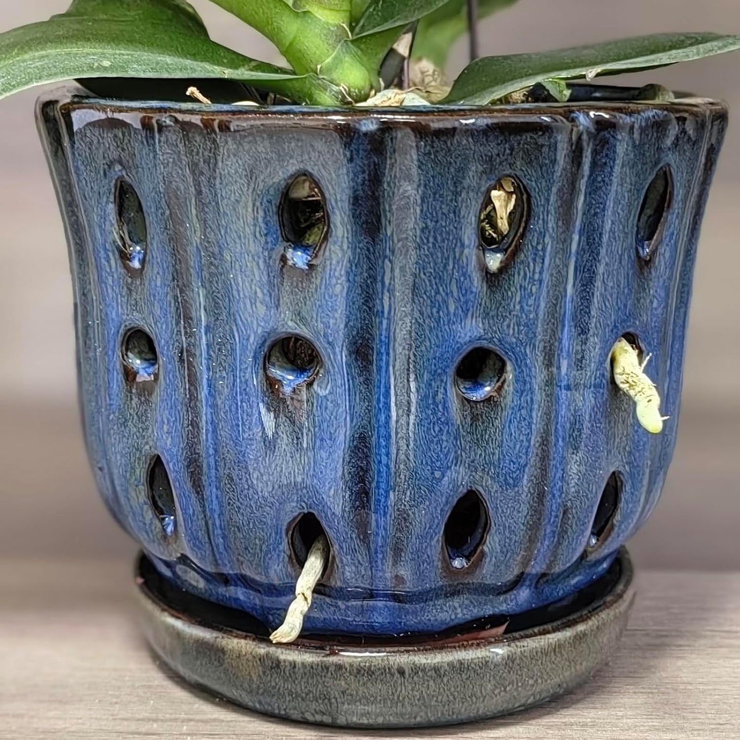 6 inch Round Ceramic Orchid Pot with Holes Orchid Planter (Dark Blue)