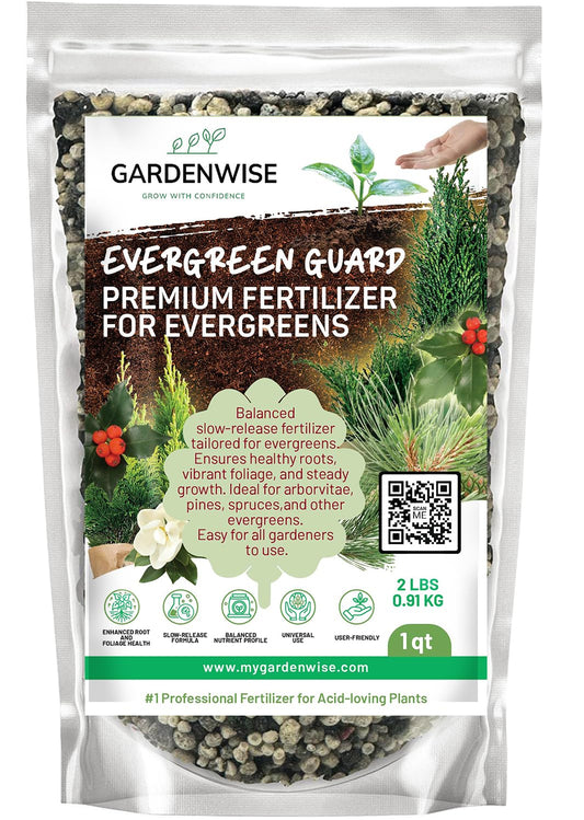 Evergreen Fertilizer – All-Purpose Granular Plant Food for Outdoor Trees and Shrubs, Azaleas, Magnolias, Pines & Arborvitae – Slow-Release Formula (1 Quart)