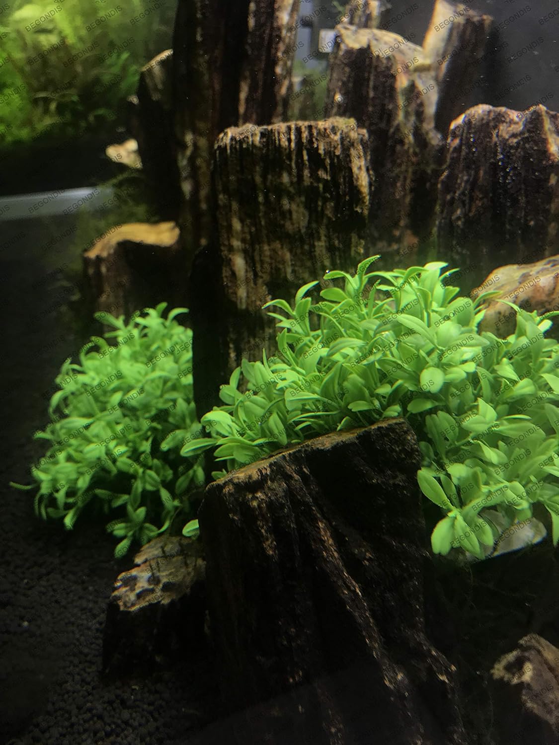 BEGONDIS Aquarium Decorations Fish Tank Artificial Green Water Plants Made of Soft Plastic, Safe for All Fish & Pets (Style-3)