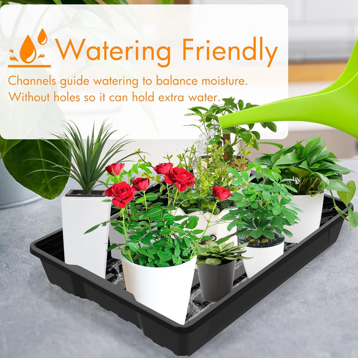 Gardzen 10 Pack Seed Trays, Reusable Plant Grow Trays, Ideal for Seed Starting, Microgreens, Indoor Gardening, and Greenhouse Plant Nurseries - No Drain Holes, 15.7" x 11.6"