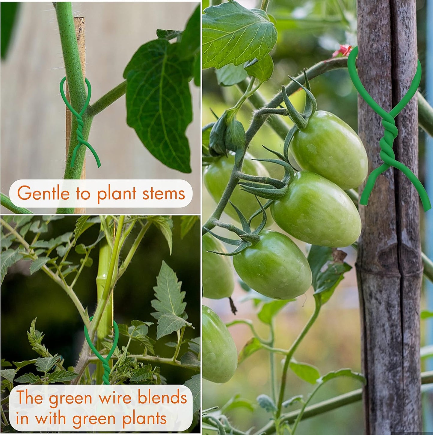 Gardzen 65ft Soft Garden Wire, Reusable Plant Ties, Rubber Coated Training Wire for Supporting Indoor Outdoor Plants and Home Organizing