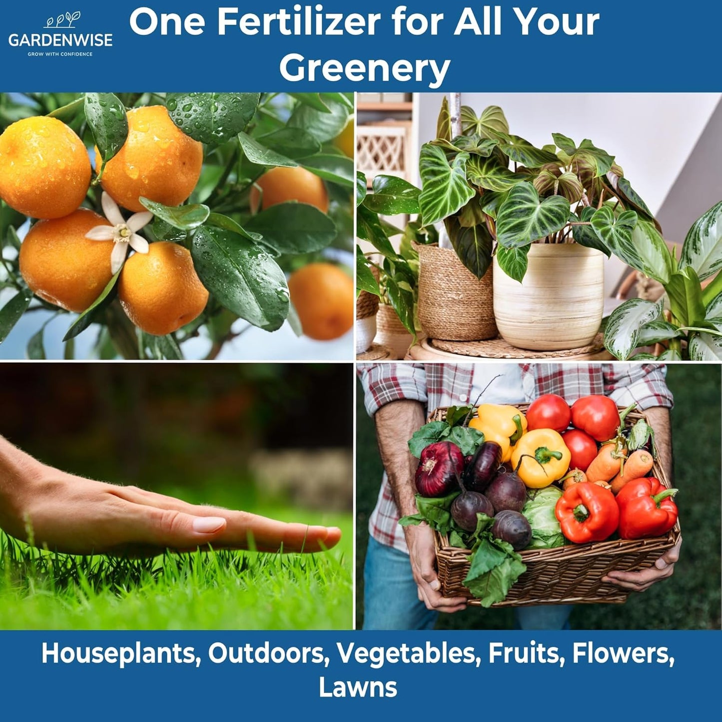 20-20-20 Water-Soluble Fertilizer – Powder for Liquid Plant Food for Indoor & Outdoor Plants, Orchids, Vegetables, Lawns, Flowers – 20 20 20 Fertilizer 1 Quart (2 lbs)