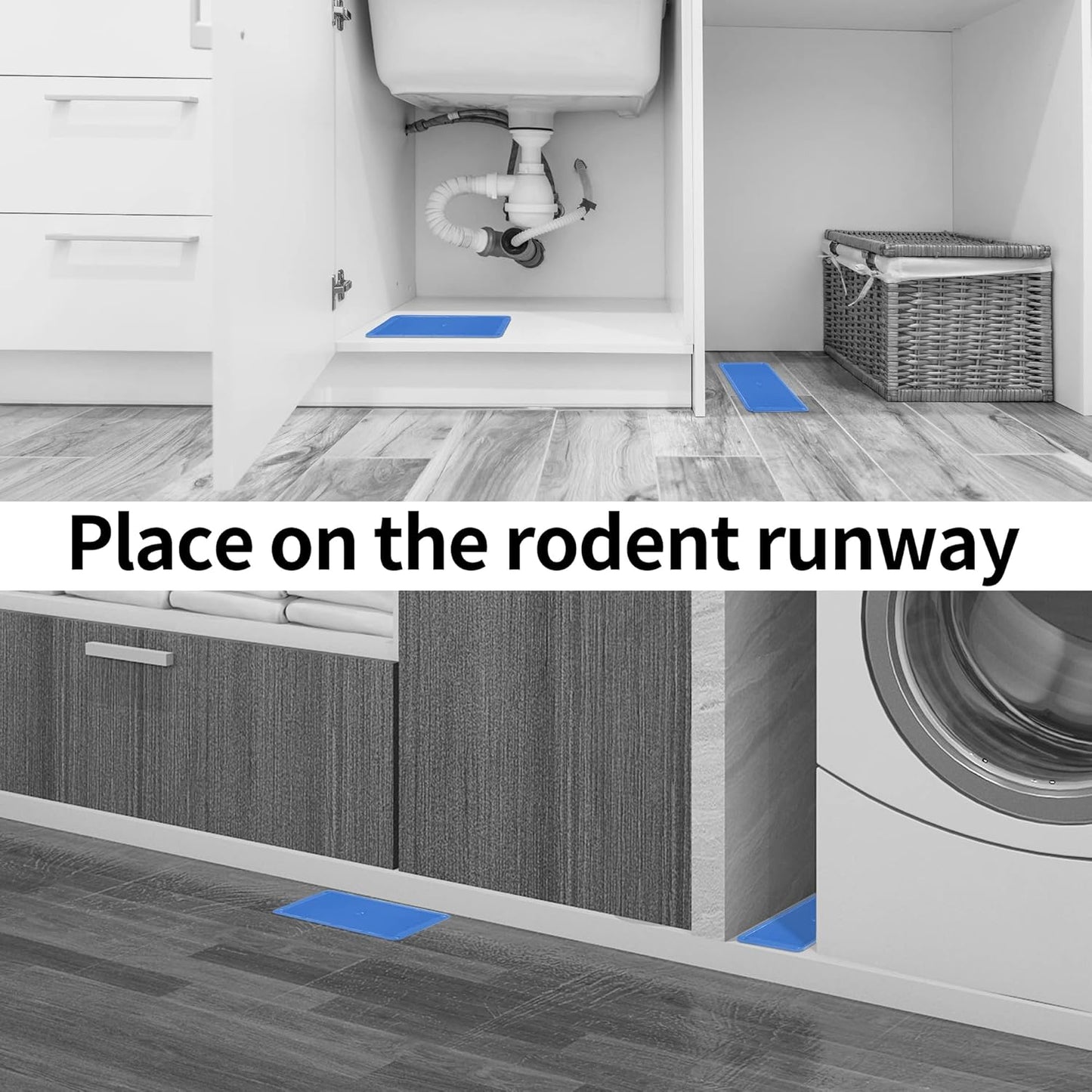 LULUCATCH Super Glue Traps 36 Pack for Mice & Snakes, Larger, Heavier Sticky Traps with Non-Toxic Glue. Sticky Mouse Traps Indoor, Easy to Set, Pet Safe Pest Control