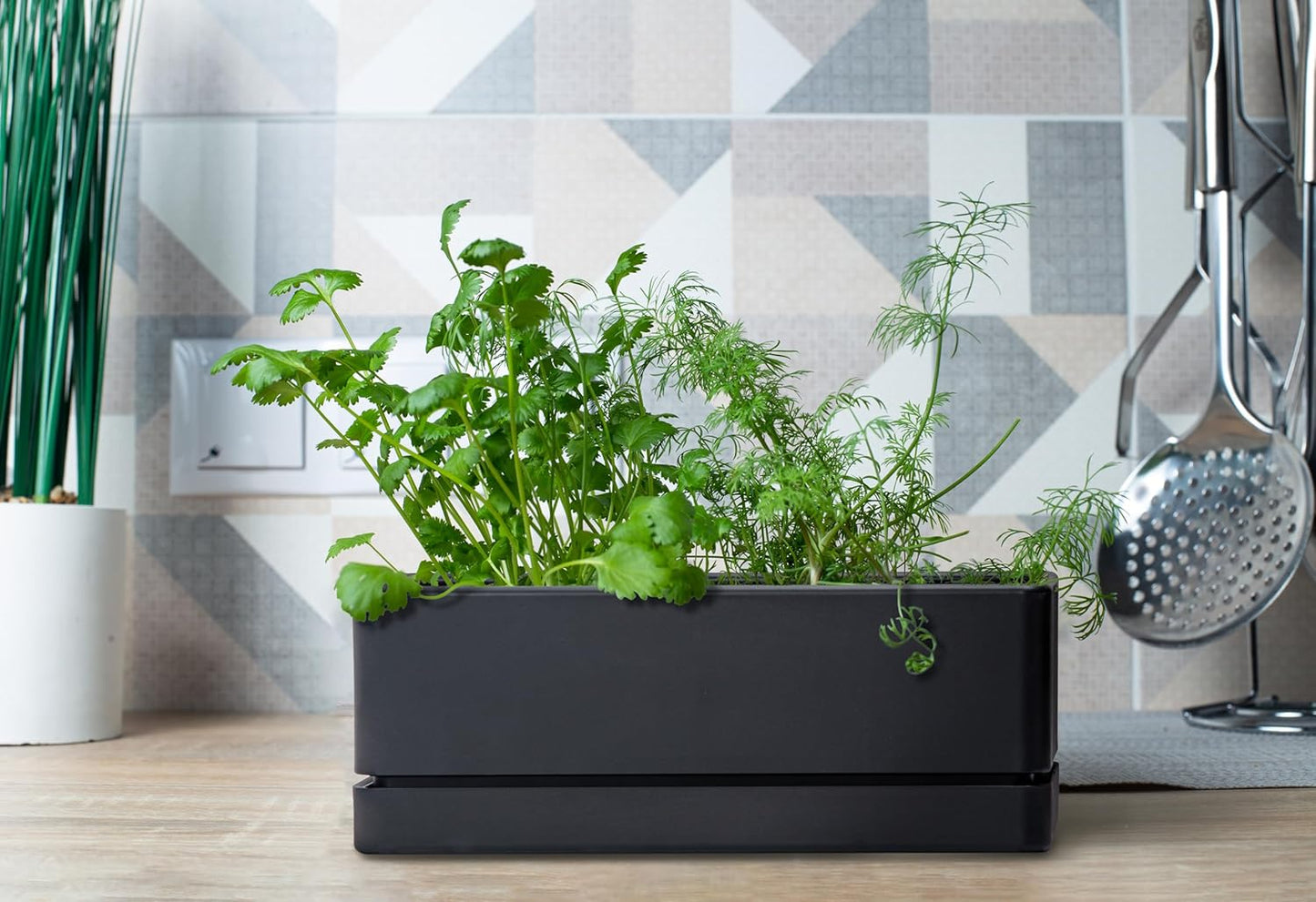 D'vine Dev 12 Inch Window Box Planter, Rectangle Plastic Herb Planter with Drainage Holes and Saucer, Indoor Succulent Cactus Vegetable Pot for Windowsill, Garden Balcony, Black, Set of 1, 76-X-B-1