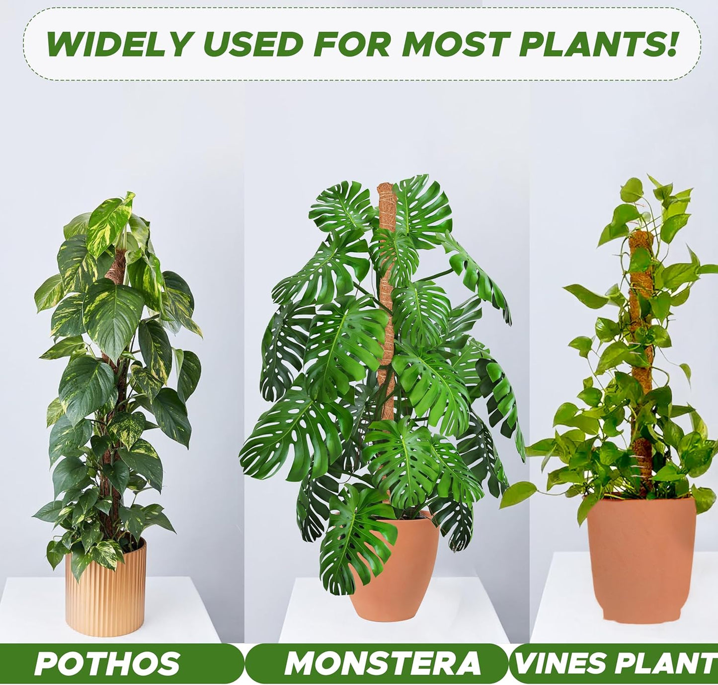 EcoNour Tall Moss Pole for Plants (2-Pack) 63-Inch | Large Monstera Plant Support for Climbing and Growth | Elevate Your Indoor Garden | Tall Plant Support for Indoor Potted Plants to Grow Upwards