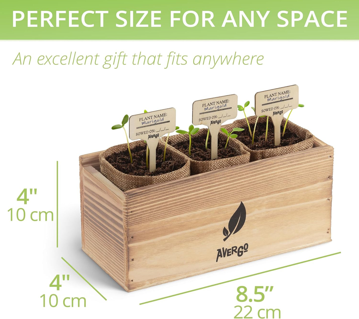 Sunflower, Marigold & Zinnia Flower Seeds Growing Kit – Complete Indoor & Outdoor Kit with Seeds for Planting, Planters, Soil, Tools, Instructions – Ideal for Gift Giving