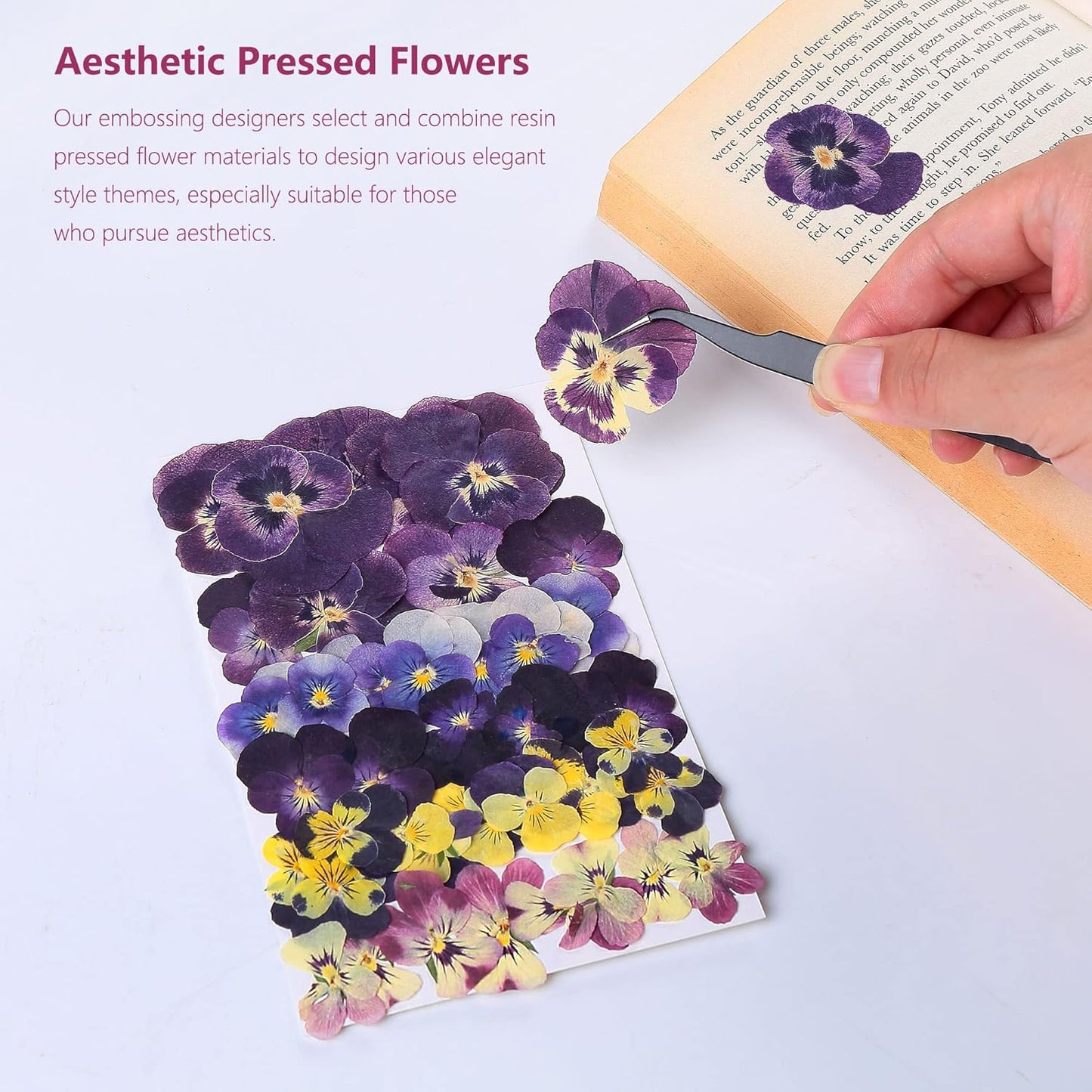 48 Pcs Mix Natural Dried Pressed Flowers for Cake Decorating, Real Dry Flower for Resin Jewelry Making, DIY Art Crafts - Johnny Jump Up