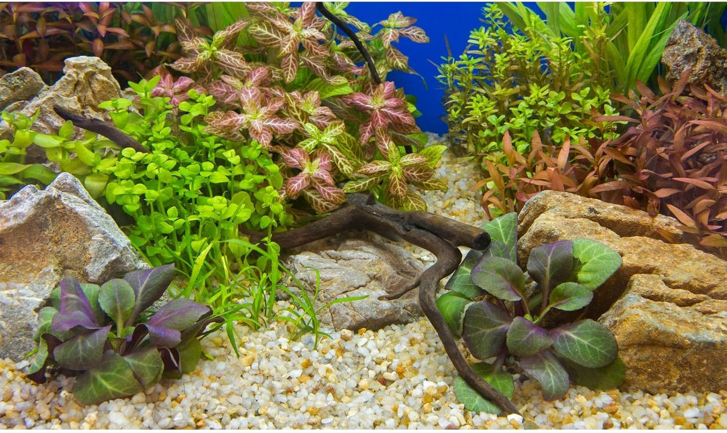 Aquarium Background Various Underwater Grass Plants Pebble Aquarium Backdrop Vivid and Fresh Green Aquatic Plants Stone River Bed and Dead Wood Purple Leaves Tank Background Vinyl 72x16in