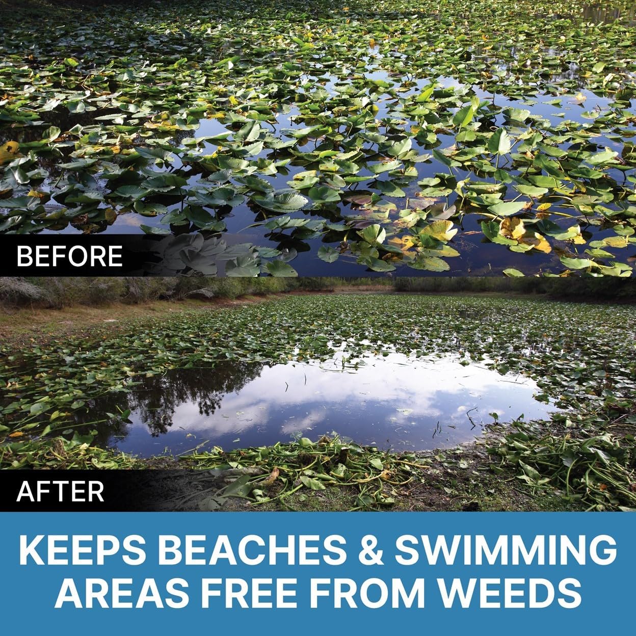 Jenlis Weed Razer Pro, Lake Weed Cutter, Large Pond Aquatic Plant Cutting Tool, Sharp Razor Blades Shear Cattail, Reed, Lilly & Chara Algae, Adjustable 30"-62” Inch Cut Width, 25' Foot Throw Rope