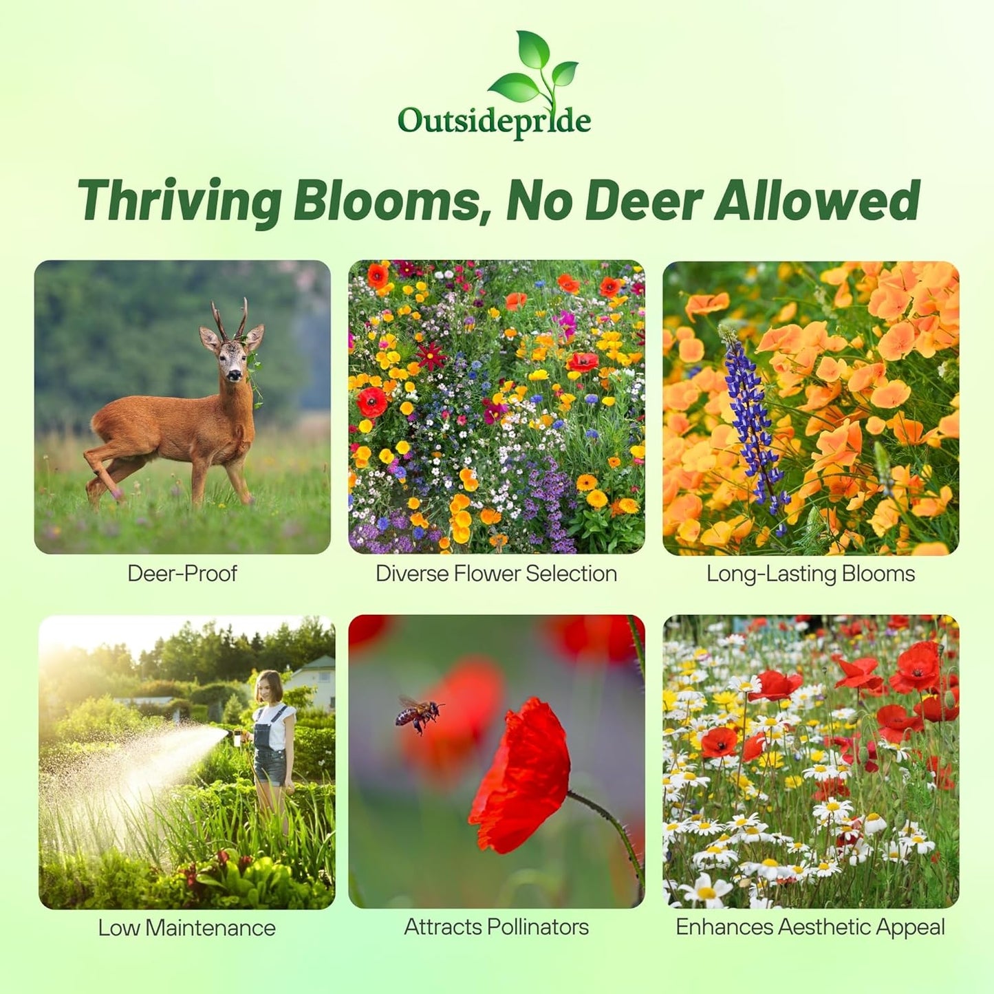 Outsidepride Deer Proof Wildflower Seed Mix - 5 lbs. Colorful Blend of Easy to Grow, Drought-Tolerant Annual & Perennial Wildflower Seeds for a Deer-Free,Vibrant Meadow & Pollinator-Friendly Garden