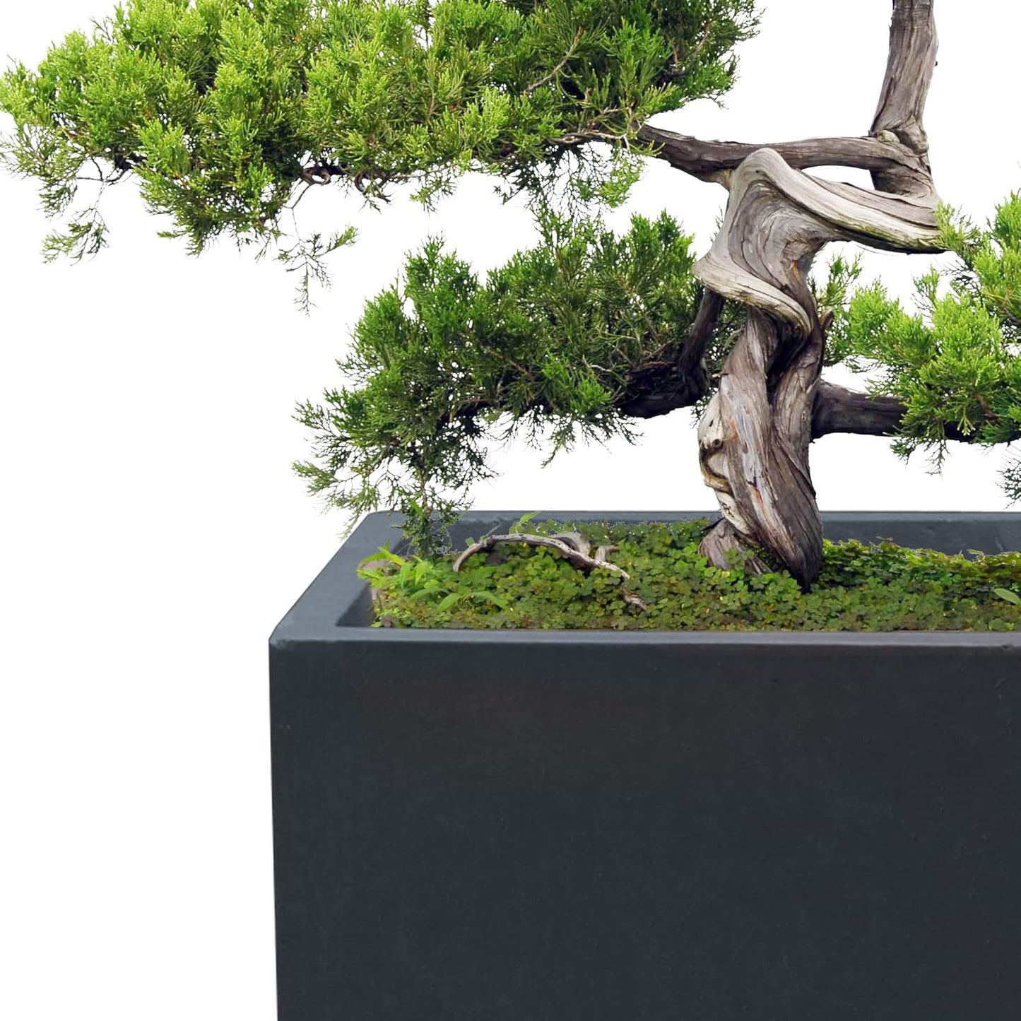 Kante 15.7" H Tall Rectangular Concrete Planters, Outdoor Indoor Lightweight Plant Pots with Drainage Hole and Rubber Plug, Modern Style for Home Garden Patio, Charcoal