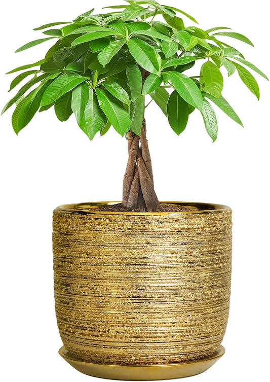 Ceramic Plant Pot 7 Inch - Ceramic Planter for Indoor Outdoor Plants, Round Modern Flower Pot with Drainage Hole and Saucer, Housewarming Gifts, House Patio Office Home Decor, Gold