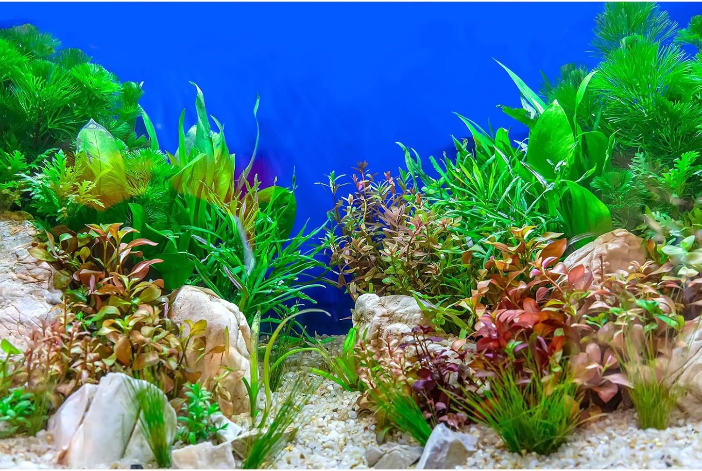 Aquarium Background Green Aquatic Plant Stone River Bed and Lake Fish Tank Background Decor Underwater Grass Leaves with Pebble Aquarium Backdrop Perfect Fish Tank Decors Vinyl 60x24in