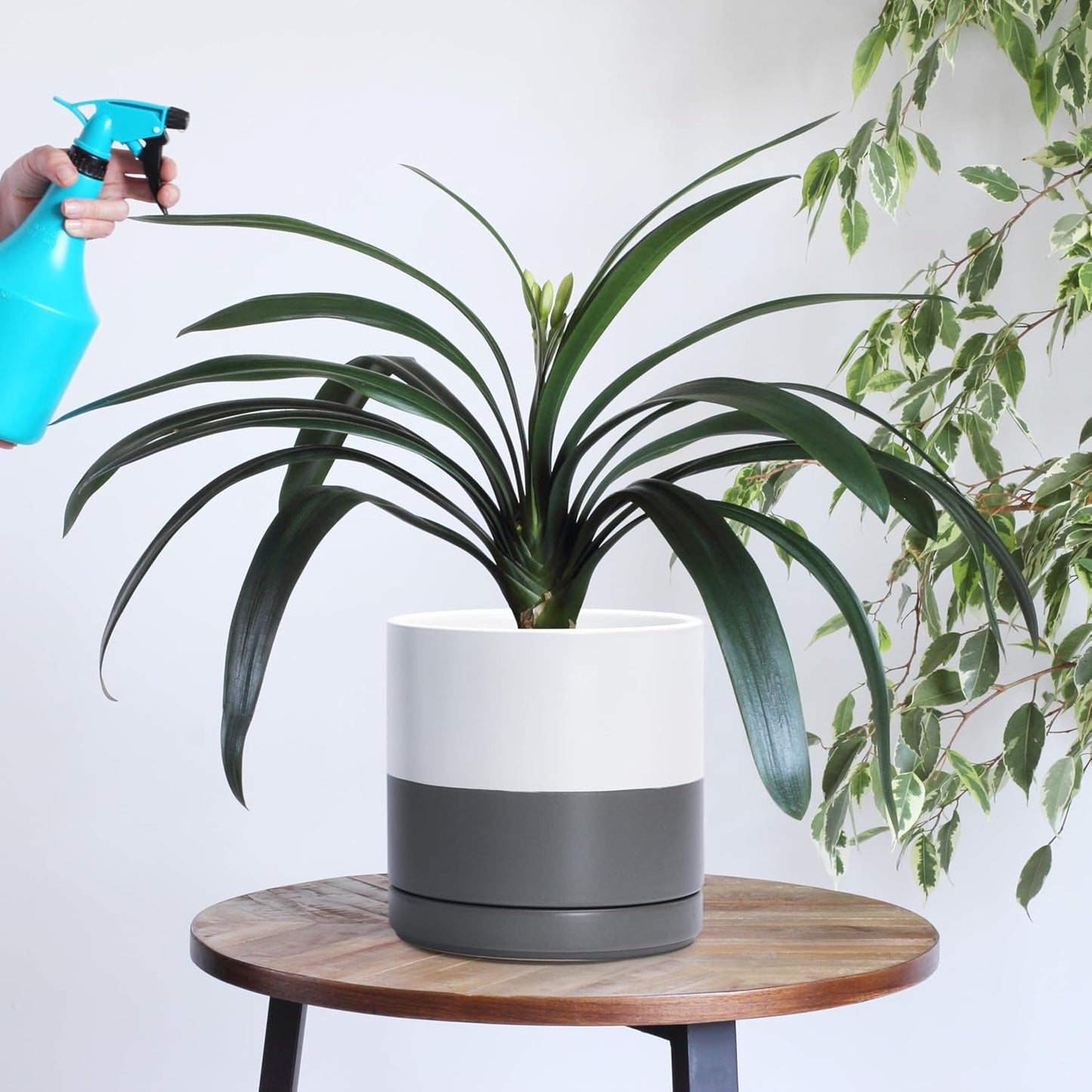 D'vine Dev 4 Inch & 6 Inch & 8 Inch, Set of 3 Round Ceramic Planter Pot with Drainage Hole and Saucer, White/Speckled Grey, 94-T-M-6