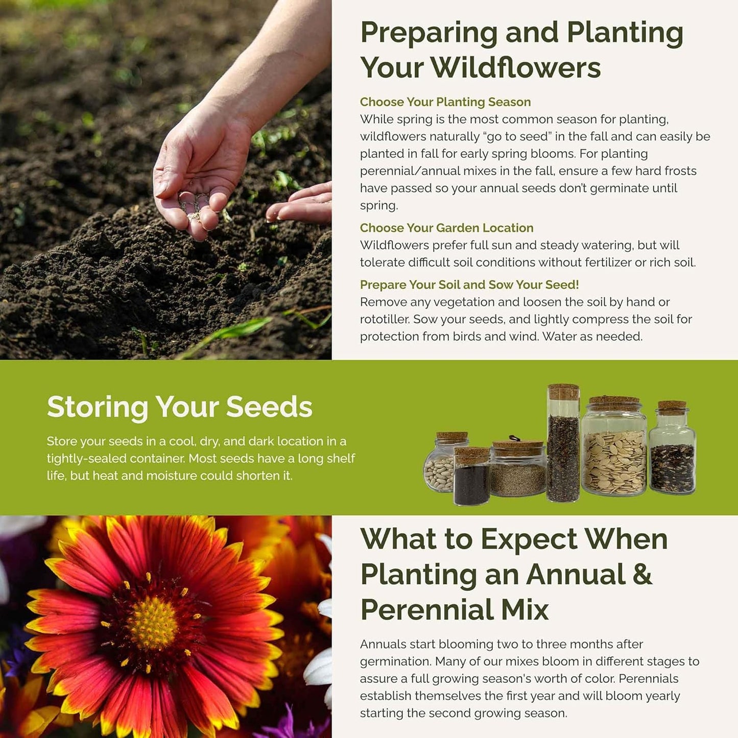 Eden Brothers Dry Area Wildflower Mixed Seeds for Planting, 10 lb, 4,800,000+ Seeds with Cosmos, African Daisy, Blue Flax | Attracts Pollinators, Plant in Spring or Fall, Zones 3, 4, 5, 6, 7, 8, 9, 10