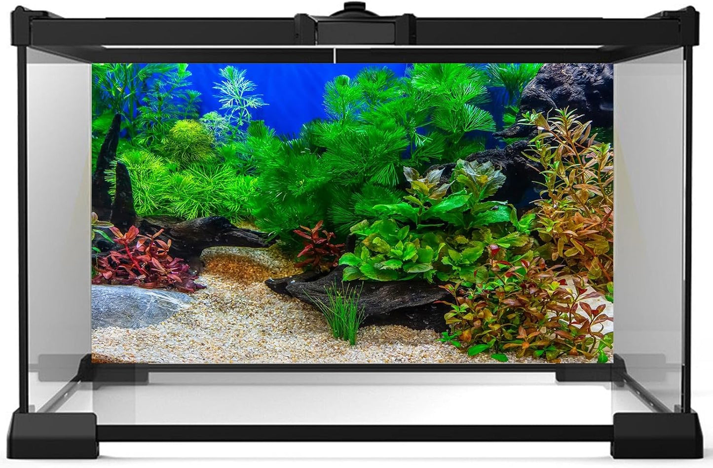 Aquarium Background Underwater Grass Leaves with Pebble Aquarium Backdrop Vivid and Fresh Green Aquatic Plant Stone River Bed and Lake Fish Deadwood Tank Background Decor Vinyl 24x12in