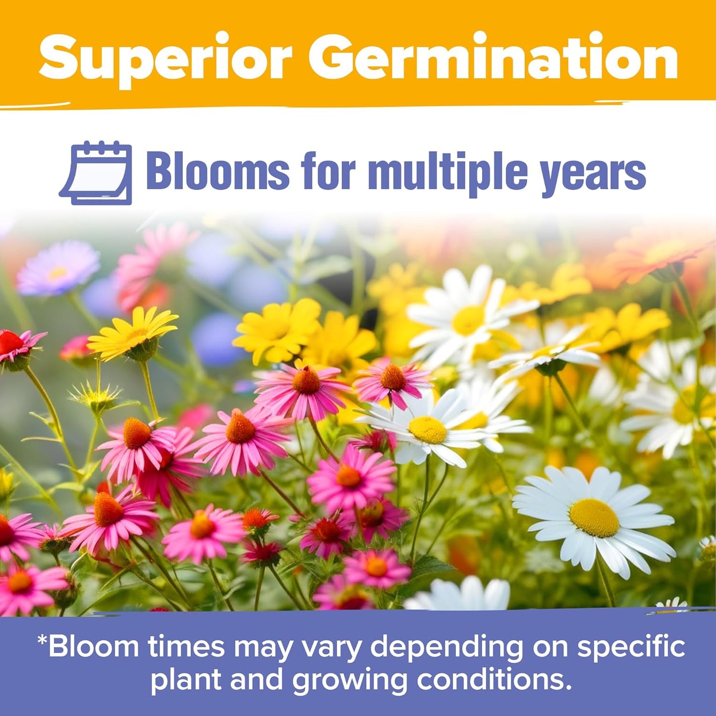 HOME GROWN 𝗨𝗦𝗔 𝗣𝗥𝗘𝗠𝗜𝗨𝗠 Wildflower Seeds Bulk 4 oz 63,200+ Seeds 19 Varieties Non-GMO Perennial Mix, Butterfly & Pollinator Flower Seeds, Attract Bees, Birds & Hummingbirds, Outdoor Planting