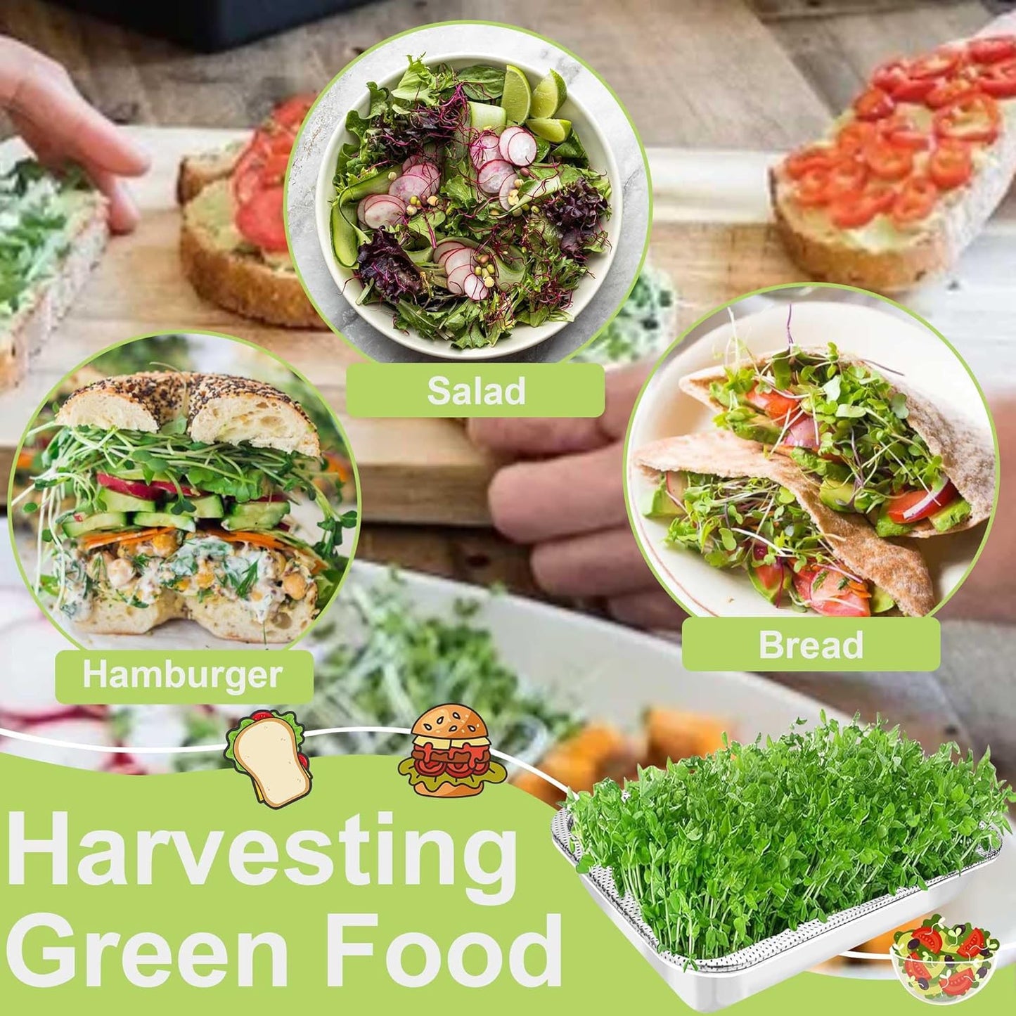 Stainless Steel Sprouts Growing Kit 4-Tier 10.4 inch Trays, Microgreens Growing Kit, Seed Sprouting Tray with Encrypted Mesh Sprouts for Beans Alfalfa Broccoli Wheat Grass