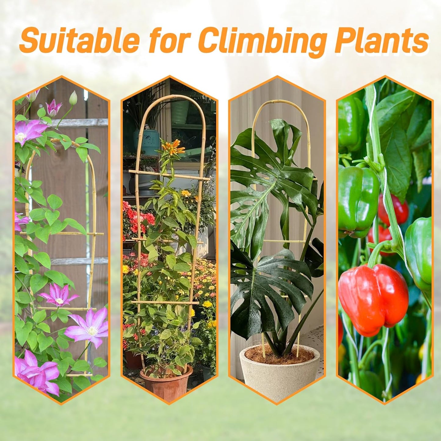 Avalution 10 Pack Bamboo U Trellis for Climbing Plants, 4 FT Garden Ladder Trellis for Potted Plants Indoor, Ladder Small Plant Support Trellis for Houseplants Ivy Hoya Vine Monstera