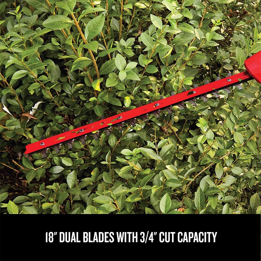 CRAFTSMAN V20 Cordless Pole Hedge Trimmer, 18-Inch, Extended Reach, Battery and Charger Included (CMCPHT818D1)