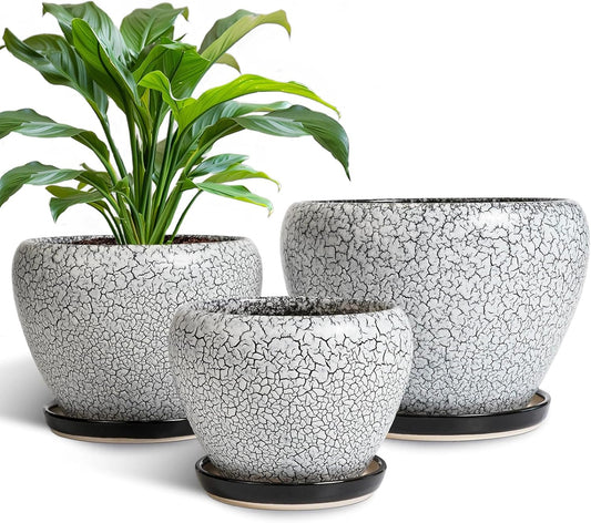Ceramic Plant Pots Set of 3, 10+8+6 Inch Modern Round Flower Planters with Drainage Holes and Plant Saucers for Indoor Outdoor, Home Garden Room Porch Decor, Plant Lover Gifts, White-Black