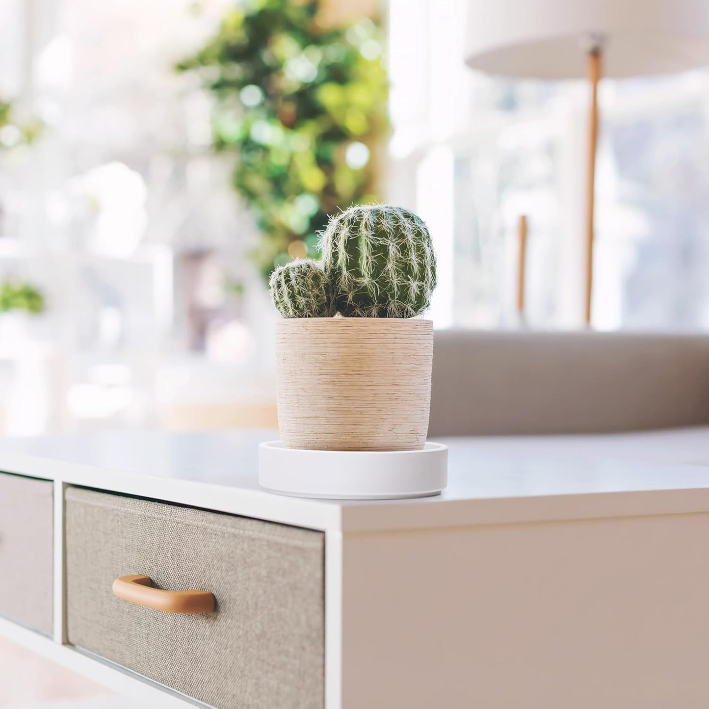 Phoenix Vine 6 Inch Plastic Plant Saucer Water Drip Tray, Heavy Sturdy Round Plant Drainage Tray for Indoors Outdoor, Matte White, 21-TY-6W-1