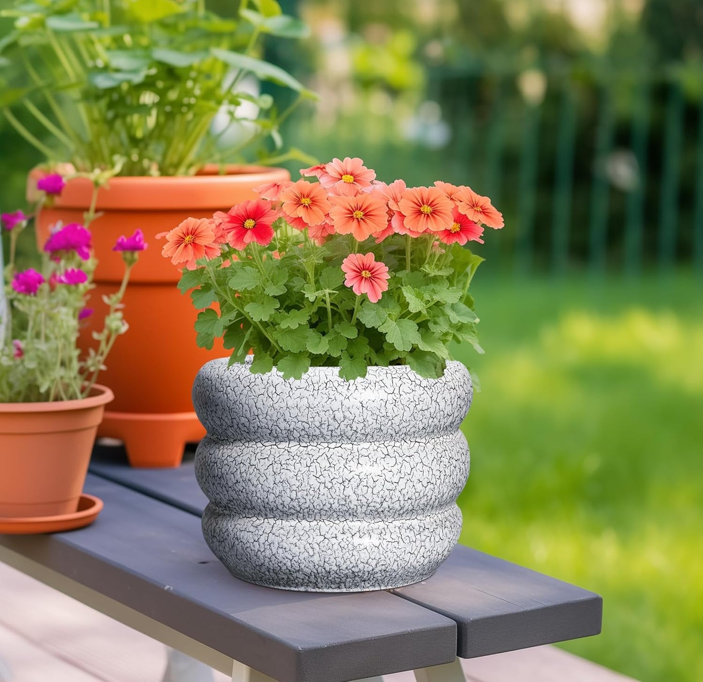 SQOWL Ceramic Pots for Plants - 8 Inch Plant Pot with Drainage Hole, Round Planter for Indoor Plants, Ceramic Flower Pots Outdoor, Modern Planter, Room Decor, Gifts for Plant Lover, Black and White