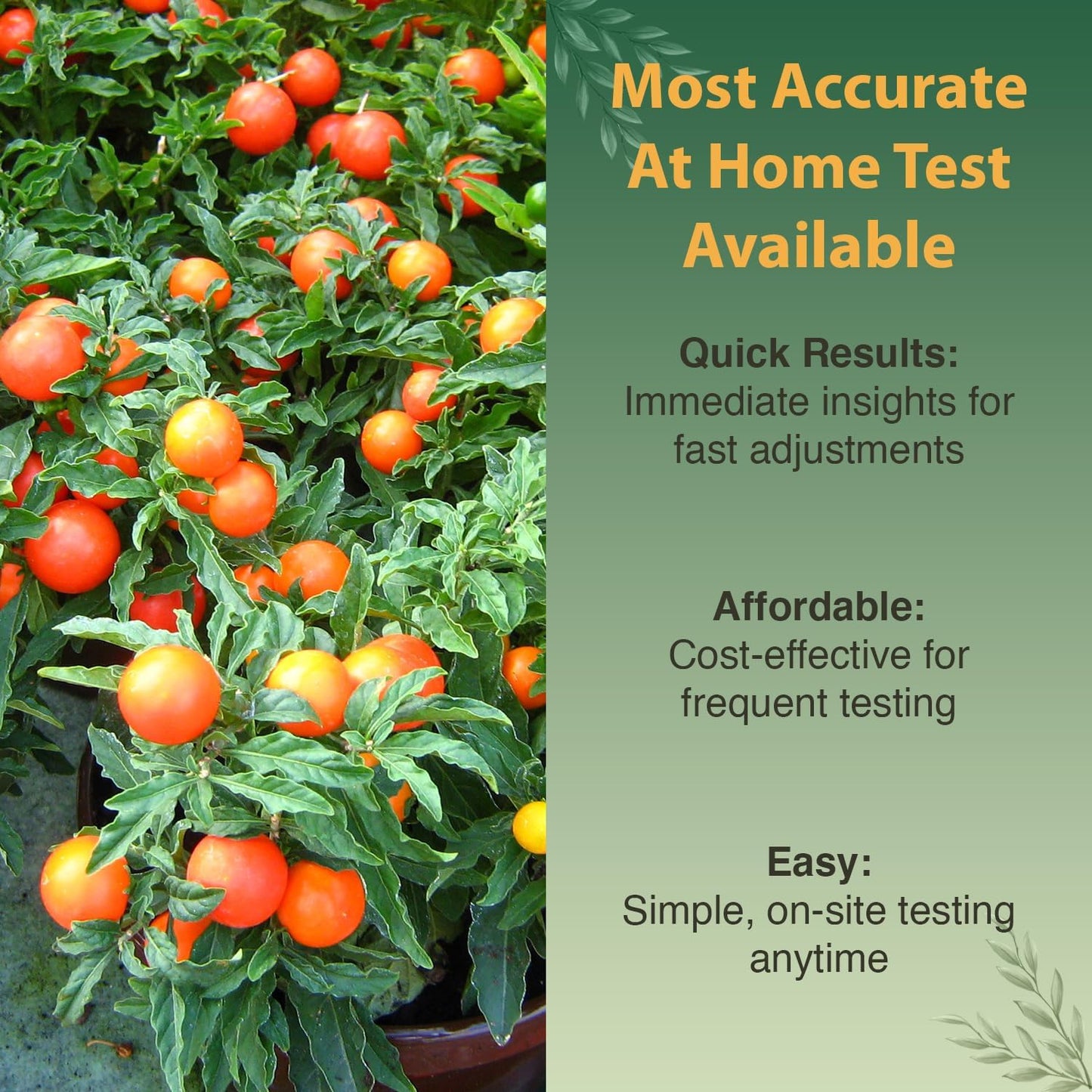 Premium Soil Test Kit: 40 Complete Tests for Lawns, Gardens, and Vegetables. Tests for Ammonia Nitrogen, pH, Phosphorus, and Potassium.