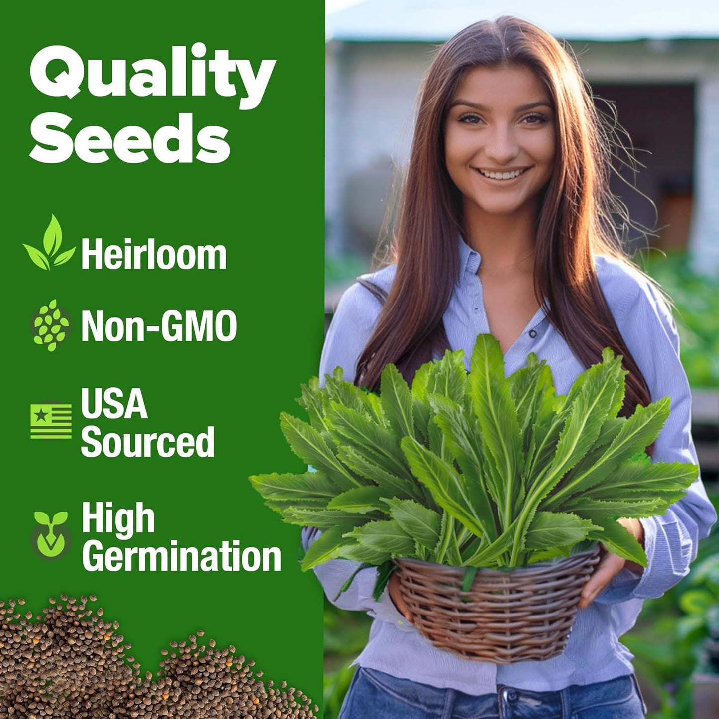 HOME GROWN Culantro Seeds - 720+ 𝗡𝗢𝗡-𝗚𝗠𝗢, 𝗨𝗦𝗔-𝗦𝗢𝗨𝗥𝗖𝗘𝗗 Heirloom Herb Seeds for Planting, Slow-Bolting, Flavorful Cilantro Alternative, Great for Outdoor Herb Gardens (Eryngium foetidum)