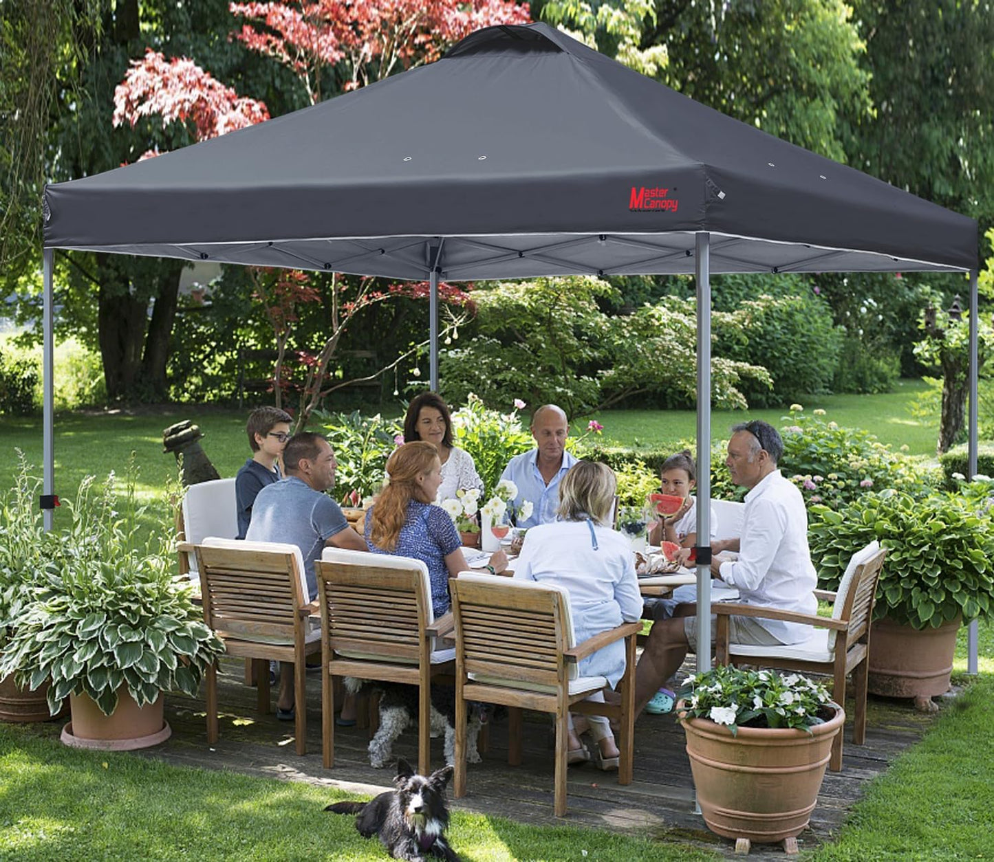 MASTERCANOPY Durable Pop-up Canopy Tent with Roller Bag (10x10, Dark Gray)