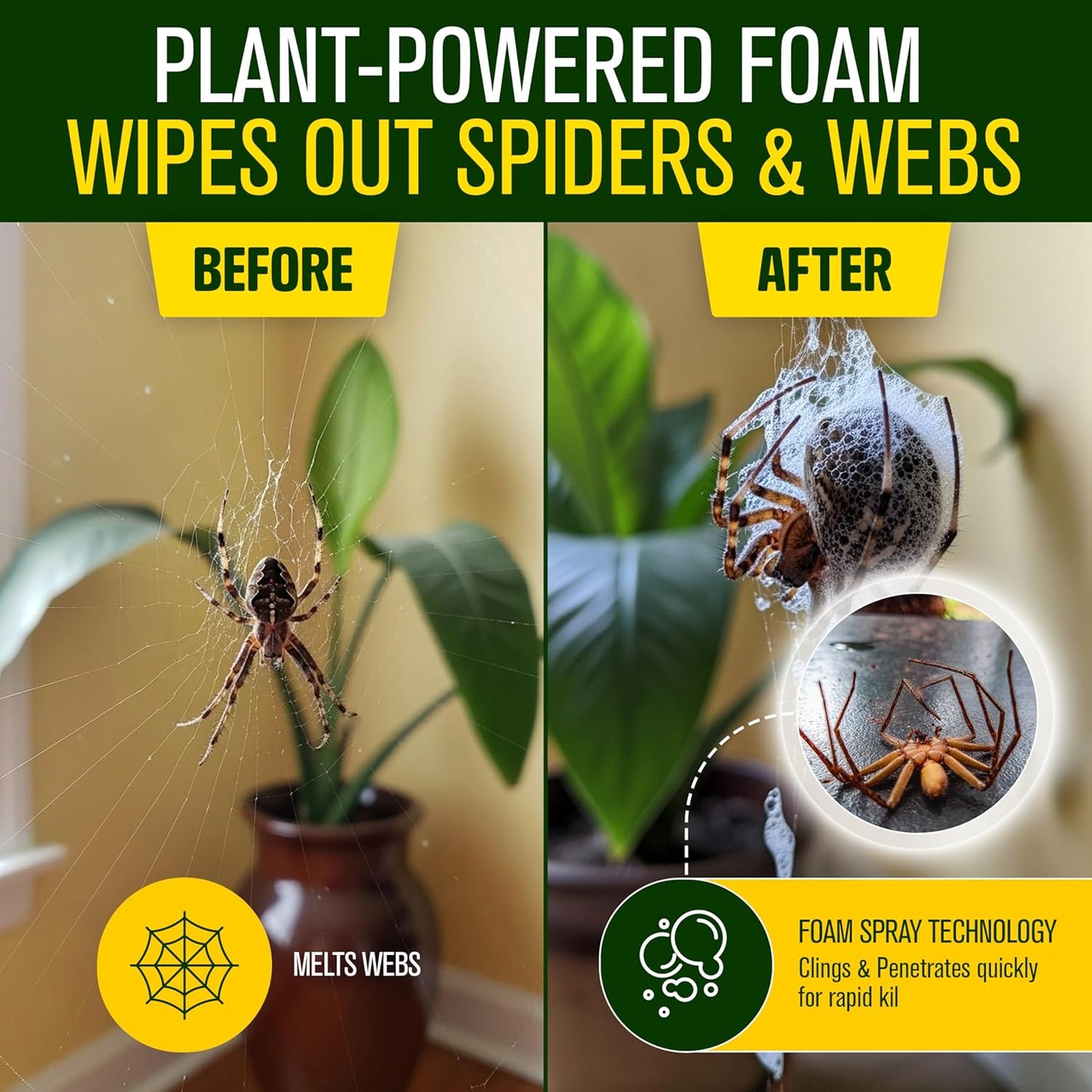 Green Guard Pest Control Spray - Indoor & Outdoor Killer of Ants, Roaches, Spiders & Other Crawling Insects, Safe Around Children & Pets, Plant-Based, Pleasant Scent (Cinnamon Might, 32oz)