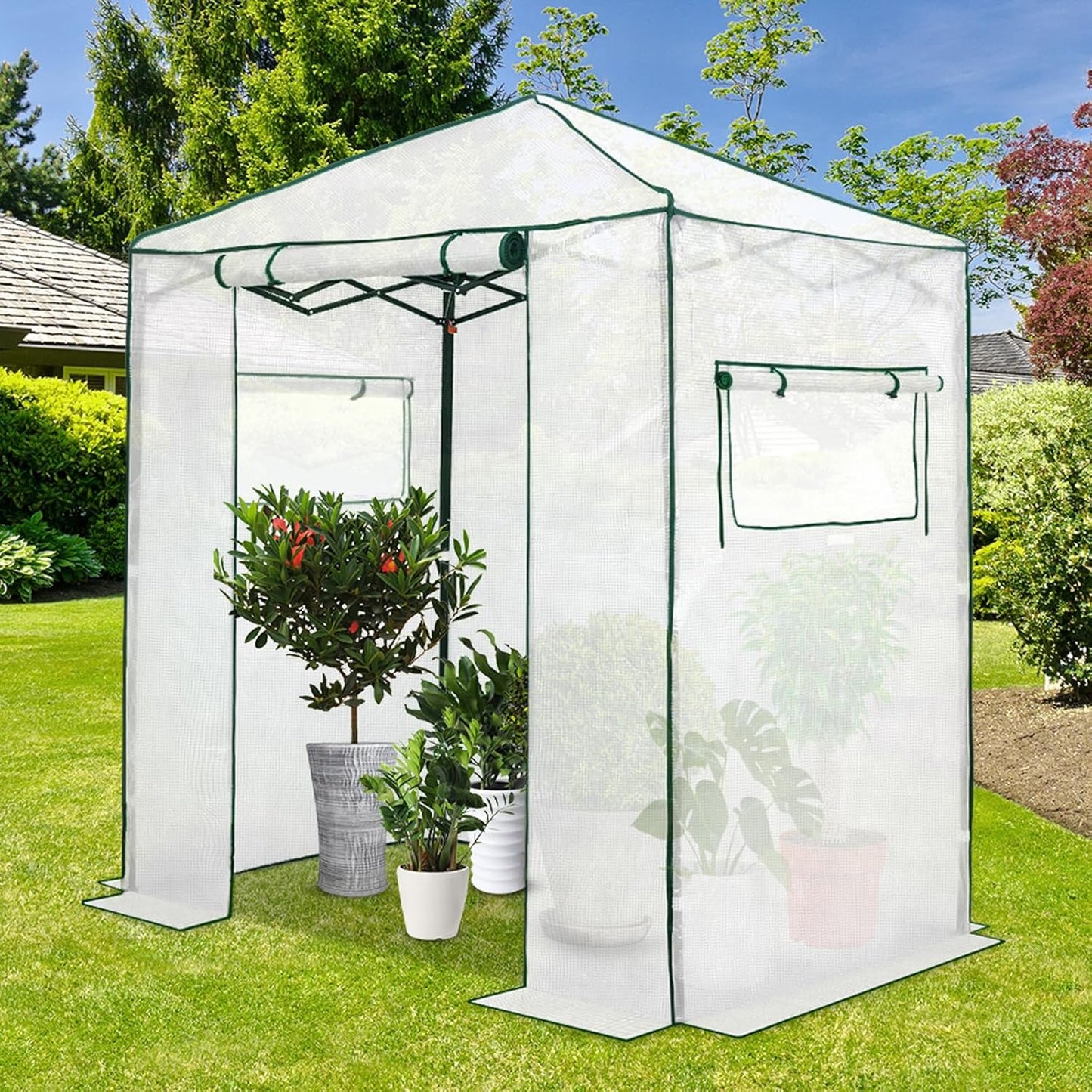 EAGLE PEAK Instant Pop-up Greenhouse, Indoor Outdoor Plant Gardening Green House, Roll-Up Zipper Doors and Side Windows, Walk in 6x4 ft, PE Cover, White/Clear