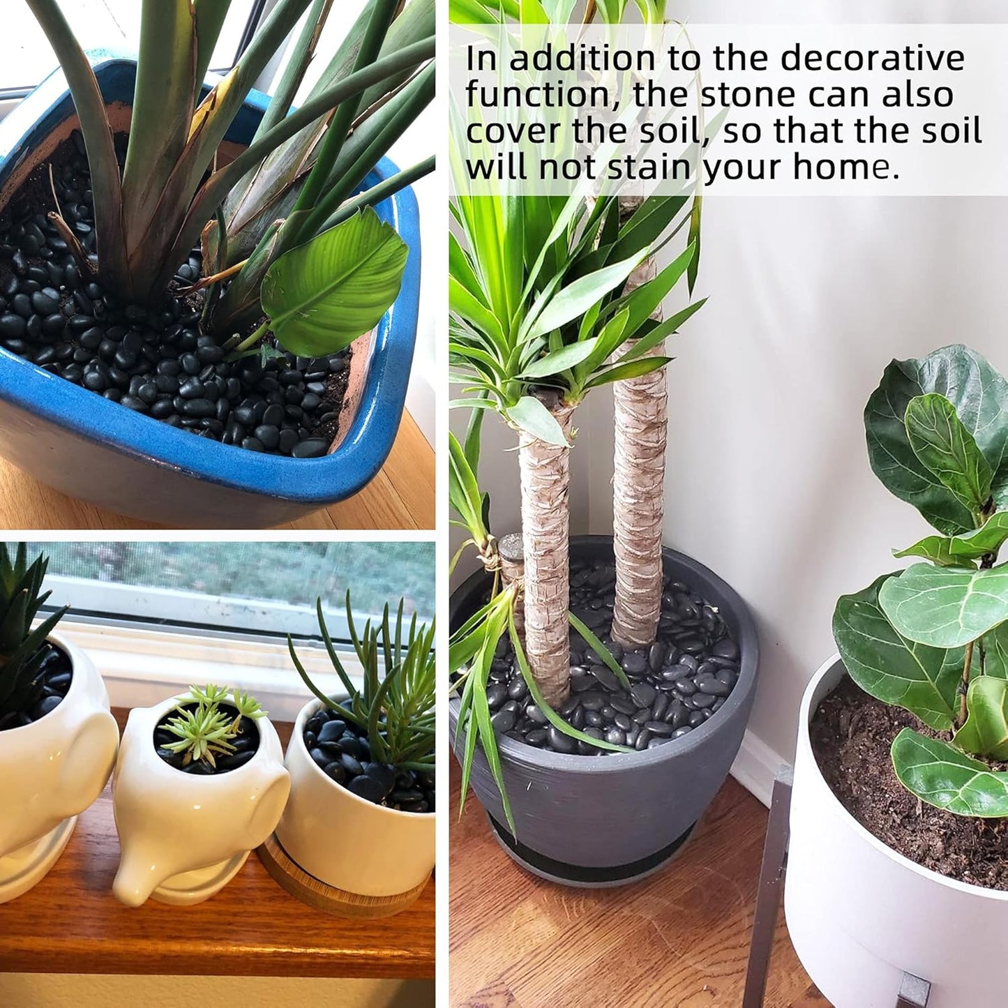 Black Pebbles for Plants 3lb Bulk Bag 0.5"- 1" Aquarium Gravel Decorative Polished Stone Natural River Rocks for Fish Tank…