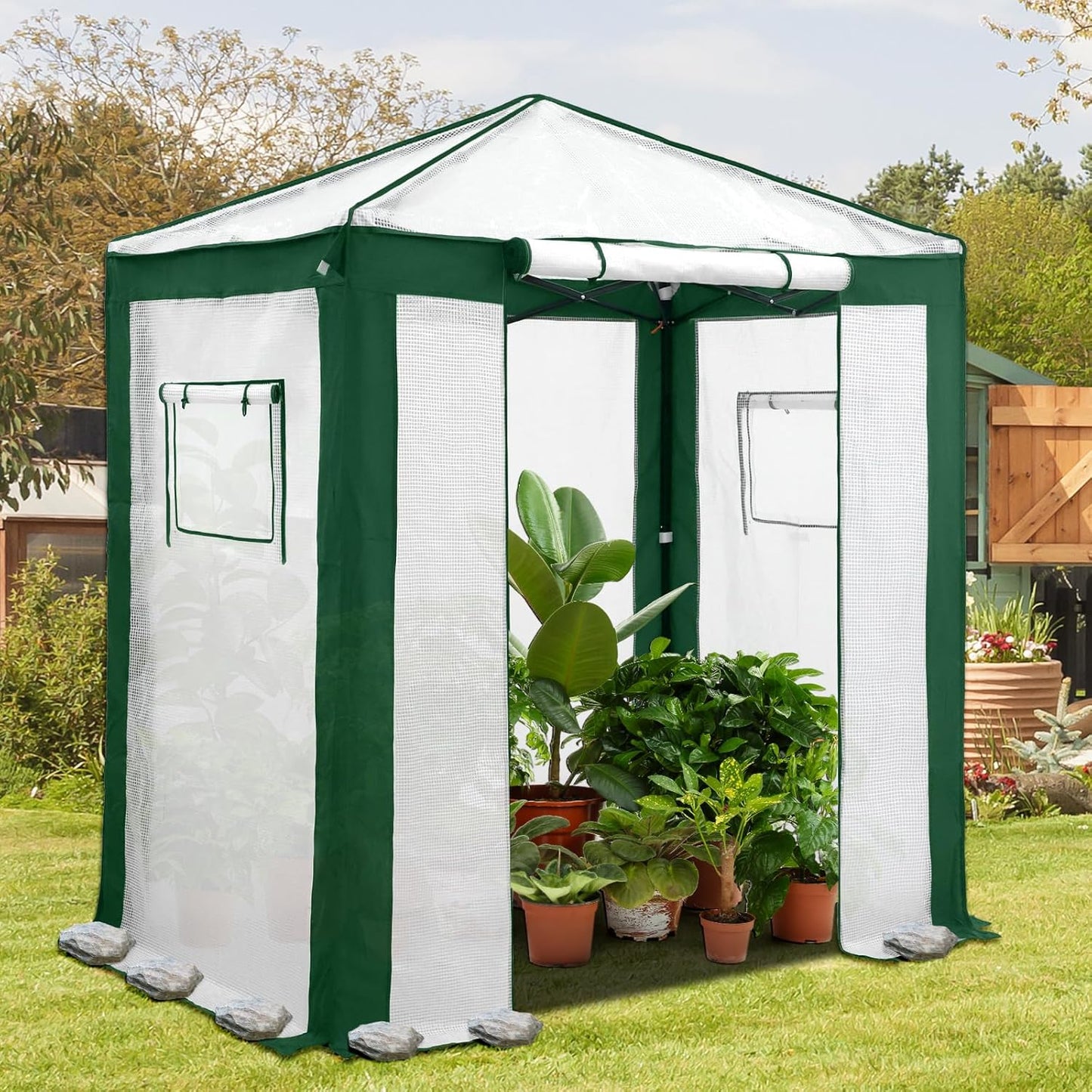 EAGLE PEAK 6x4 Portable Walk in Greenhouse with Polyester Reinforced Corners, Instant Pop up Indoor Outdoor Gardening Green House, Roll Up Zipper Entry Door and Mesh Windows, Green/White