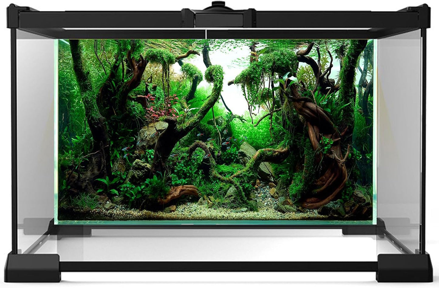 Aquarium Background Underwater Pebble Grass Leaves Aquarium Backdrop Vivid Fresh Green Aquatic Plant Stone River Bed Aquarium Backdrop Deadwood Purple Leaves Tank Background Vinyl 24x16in