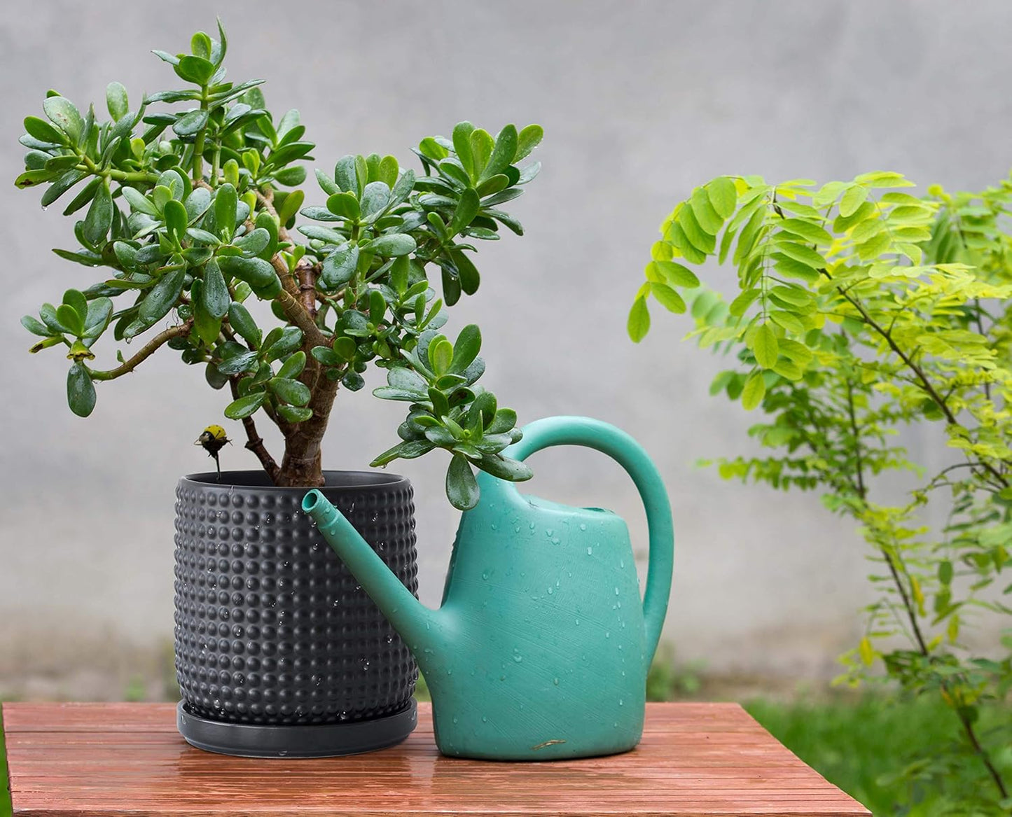 D'vine Dev 6 Inch 4 Inch Ceramic Indoor Planter Pots with Drainage Hole and Saucer, Beaded Design Flower Pots, Set of 2, Matte Black, 27-D-U-6