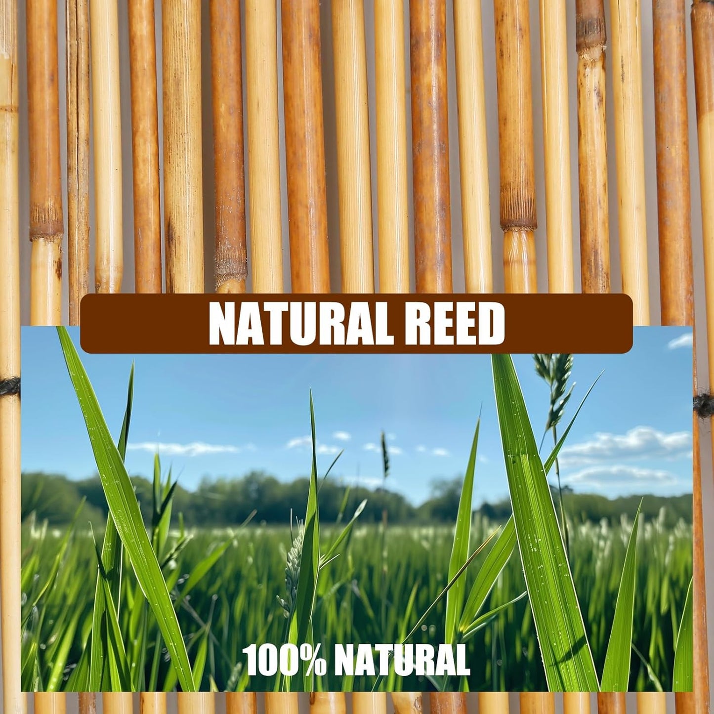 Natural Reed Fencing, Eco-Friendly Reed Fence, 3.3 feet High x 13.1 feet Long, Reed Screen for Backyard Patio Garden and More,Brown