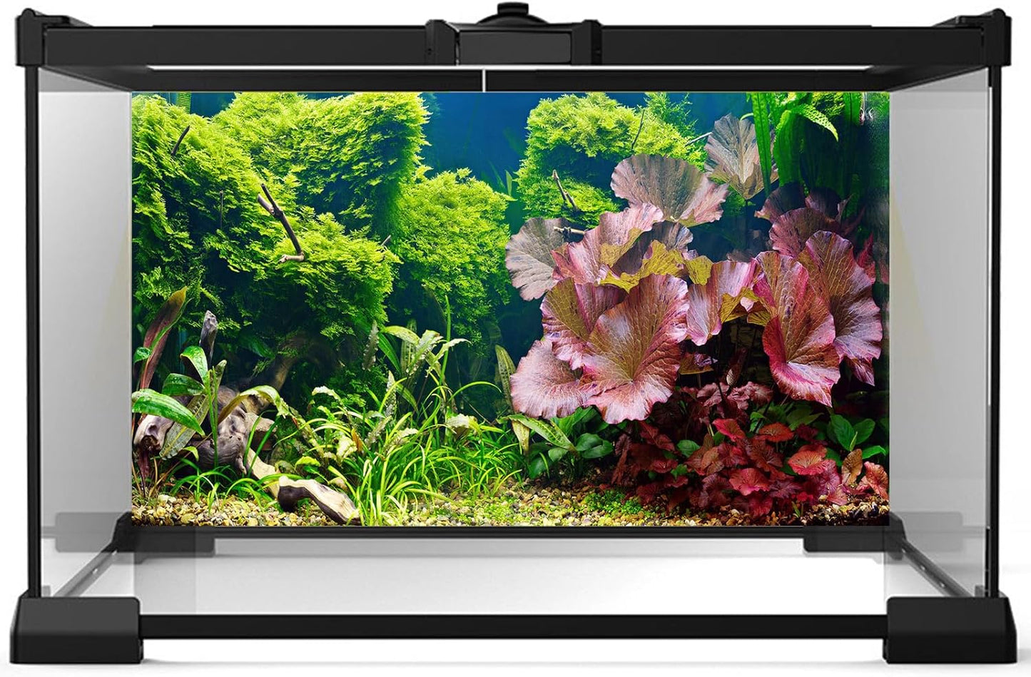 Aquarium Background Underwater Grass Leaves Pebble Aquarium Backdrop Vivid and Fresh Green Aquatic Plant Background Stone River Bed DeadWood Purple Leaves Tank Background Decor Vinyl 30x18in