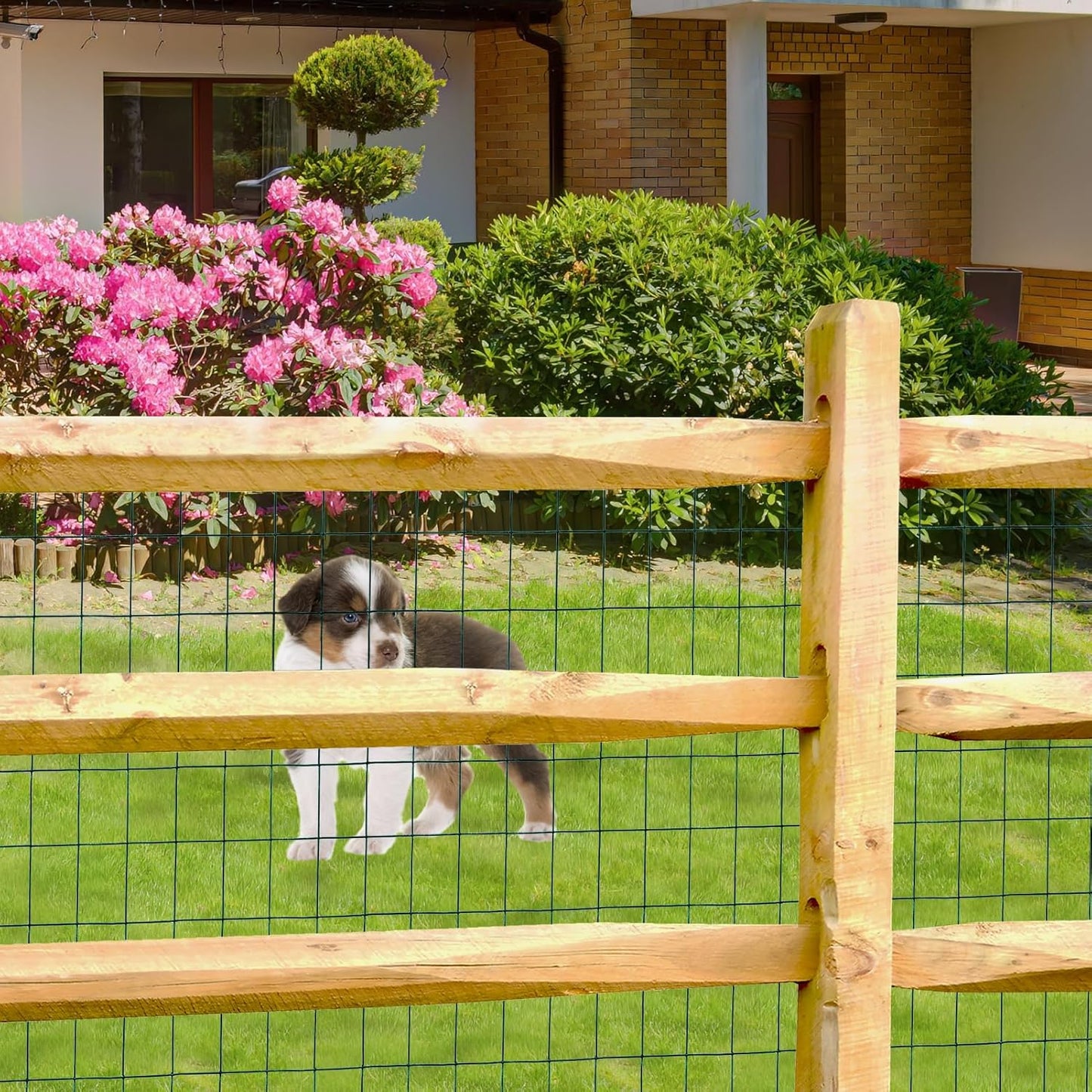 Green PVC Coated Welded Wire Fence 48 Inch x 50 Foot, 2 Inch x 3 Inch 16GA, Garden Border Fencing Roll Vinyl Coating Metal Wire Mesh for Yard Vegetable Plant Protection Poultry Netting