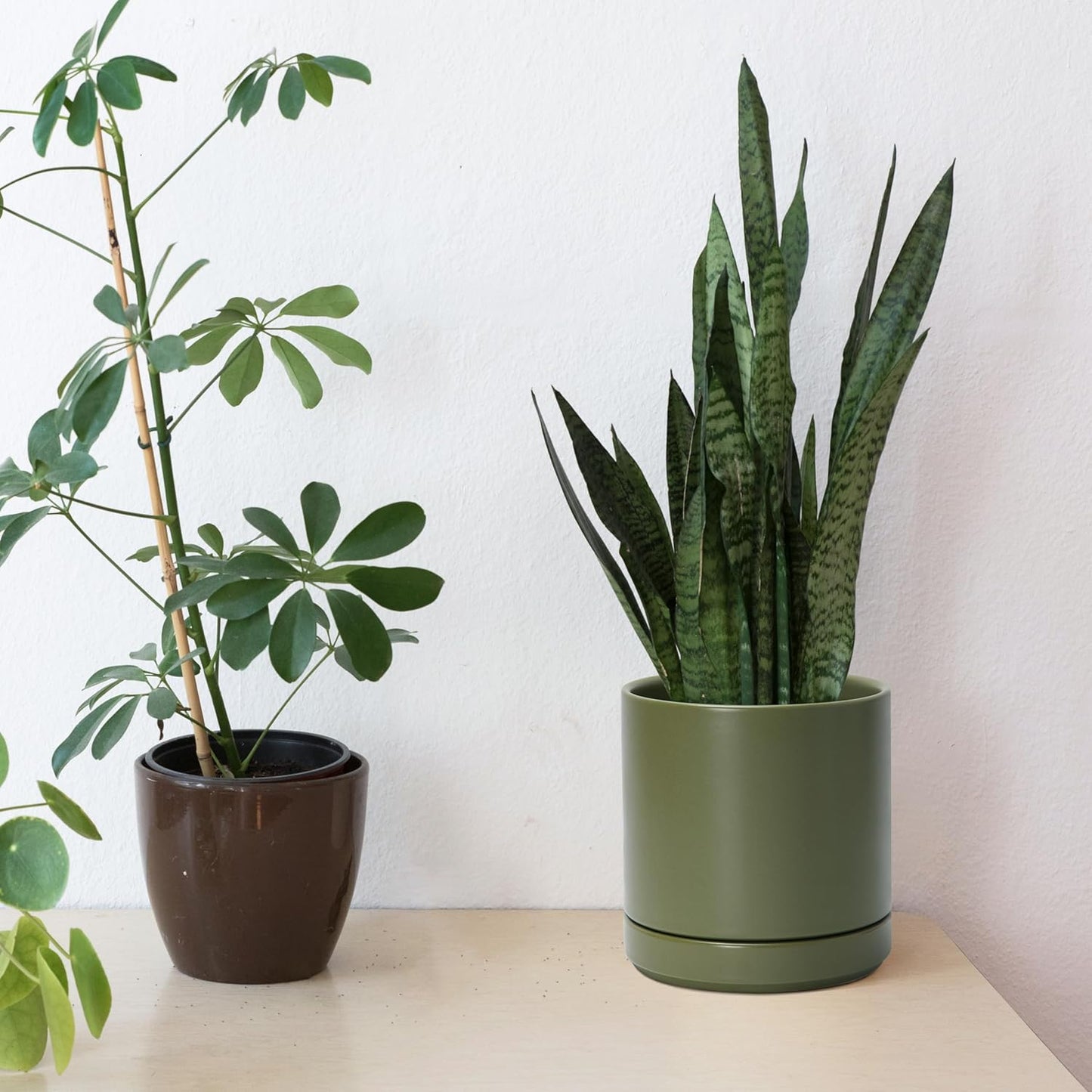 D'vine Dev 6 Inch Ceramic Planter Pot with Drainage Hole and Saucer, Indoor Cylinder Round Planter Pot, Olive, 94-O-C-J