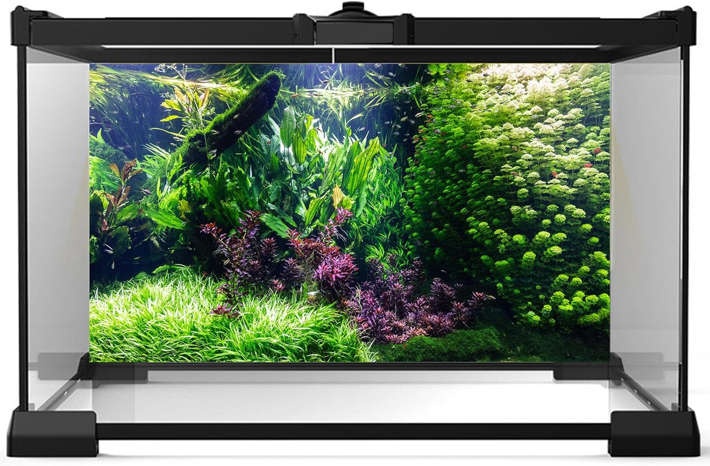 Aquarium Background Various Underwater Grass Plants Aquarium Backdrop Vivid and Fresh Green Aquatic Plants Stone River Bed and Dead Wood Tank Background Vinyl 60x24in