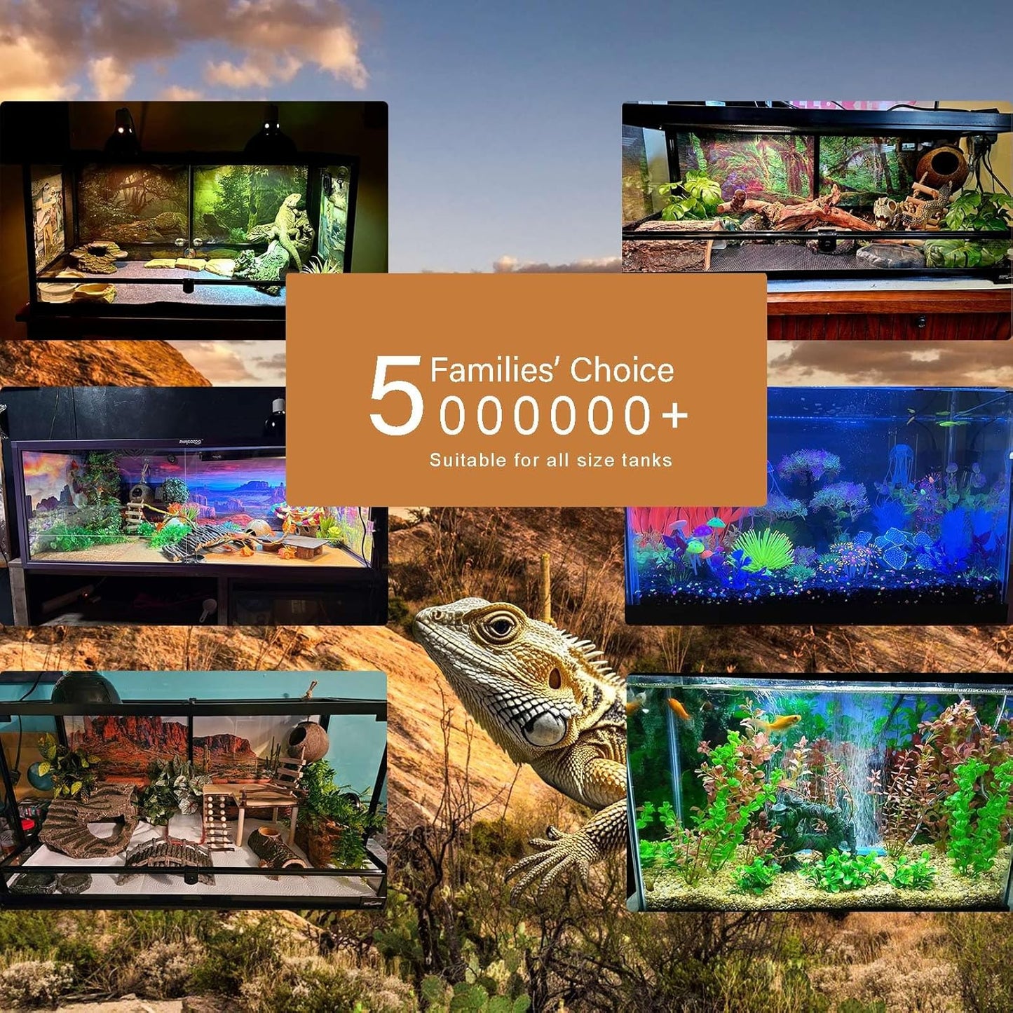 Underwater Aquarium Background Corals and Tropical Fish Terrarium Backdrop Rock Aquatic Plants Sunlight Rays Fish Tank Background Tank Aquarium Wallpaper Poster Decor 24x12in