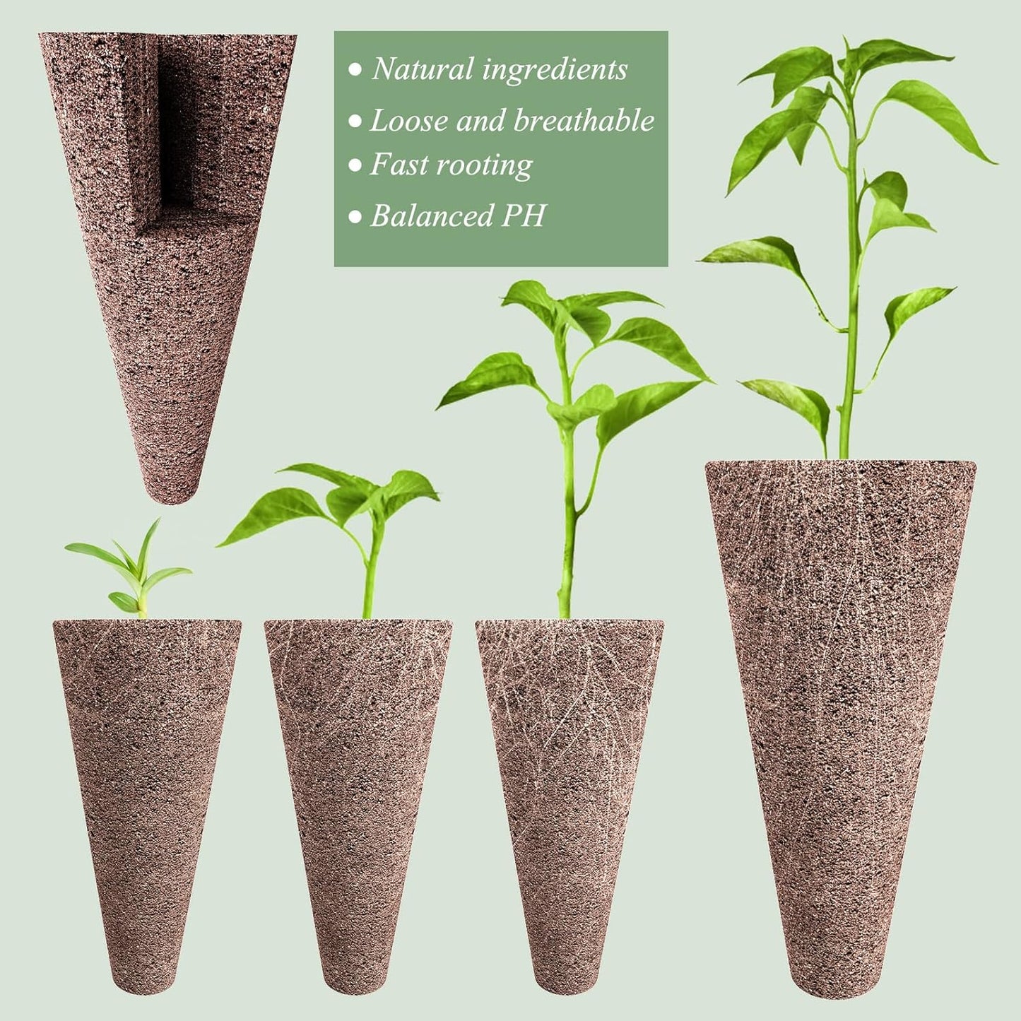 66pcs Hydroponic Seed Pod Kit - Compatible with Aerogarden and All Brands - Grow Anything Indoor Garden System - Includes 15 Grow Sponges, 15 Baskets, 20 Labels and Tweezer for Easy Planting