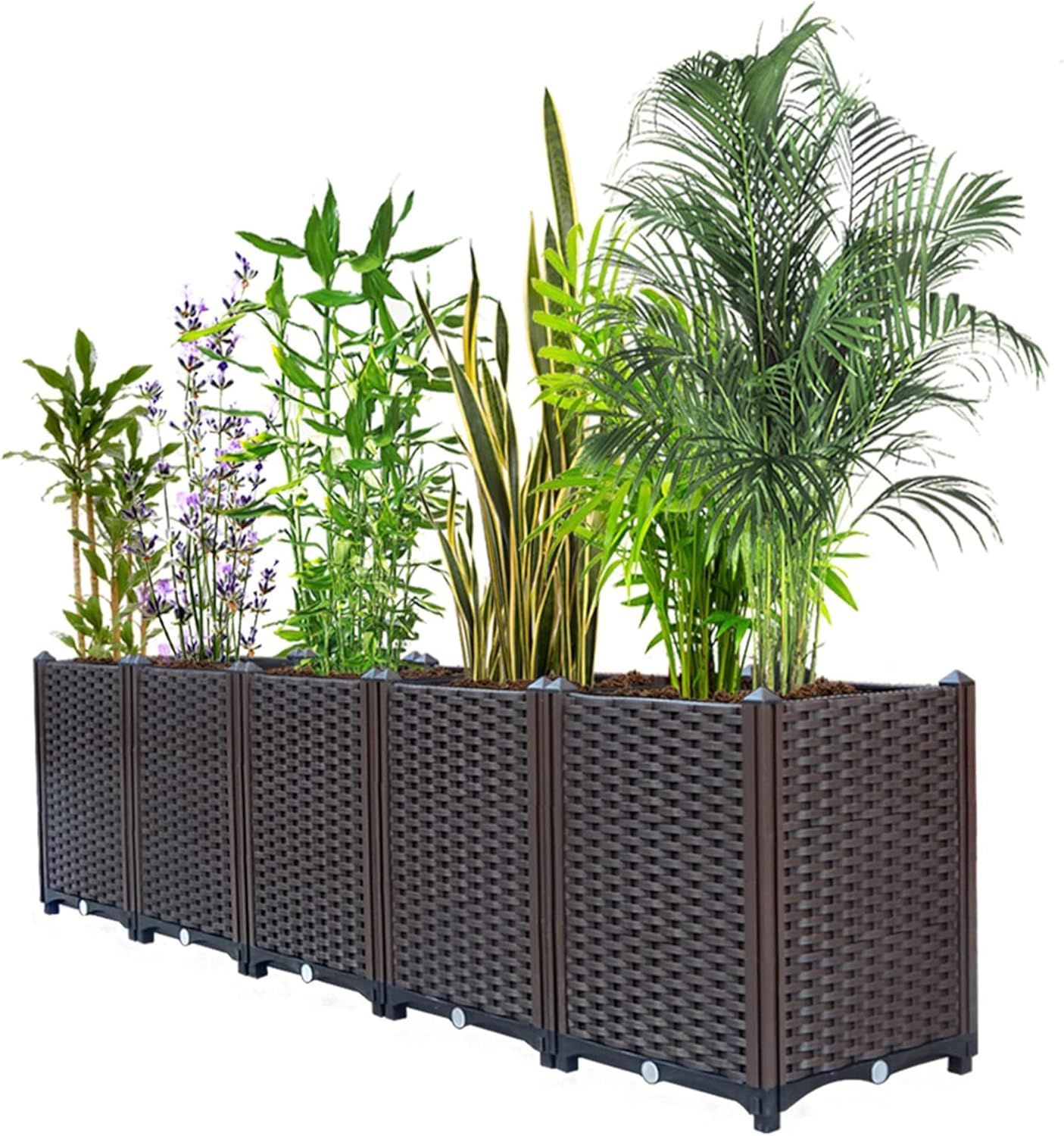 Raised Garden Beds Outdoor for Vegetables, Flowers, Herbs, Garden Box with Drain Outlet, Heat and Frost Resistance Planters 79 X 16 X 21 in