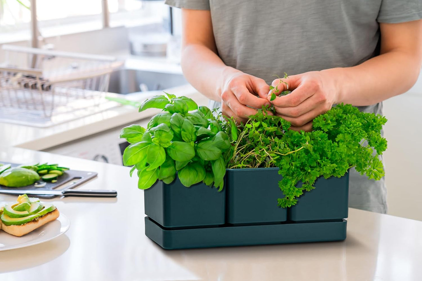 D'vine Dev Herb Garden Planter Set, Plastic Plant Pots with Drainage and Saucer, Indoor Succulent Cactus Vegetable Pot for Windowsill, Garden Balcony, Green, Set of 1, 76-V-C-1