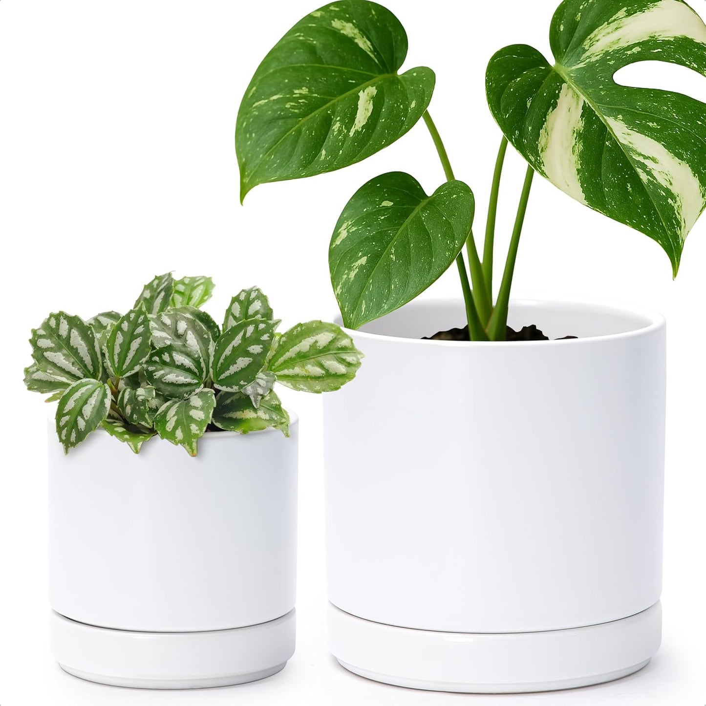 D'vine Dev 4.7 Inch & 6 Inch Ceramic Planter Pots for Plants with Drainage Hole and Saucer, Small Plant Pots Set, White, 94-G-S-1