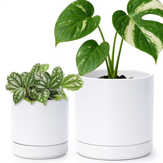 D'vine Dev 4.7 Inch & 6 Inch Ceramic Planter Pots for Plants with Drainage Hole and Saucer, Small Plant Pots Set, White, 94-G-S-1