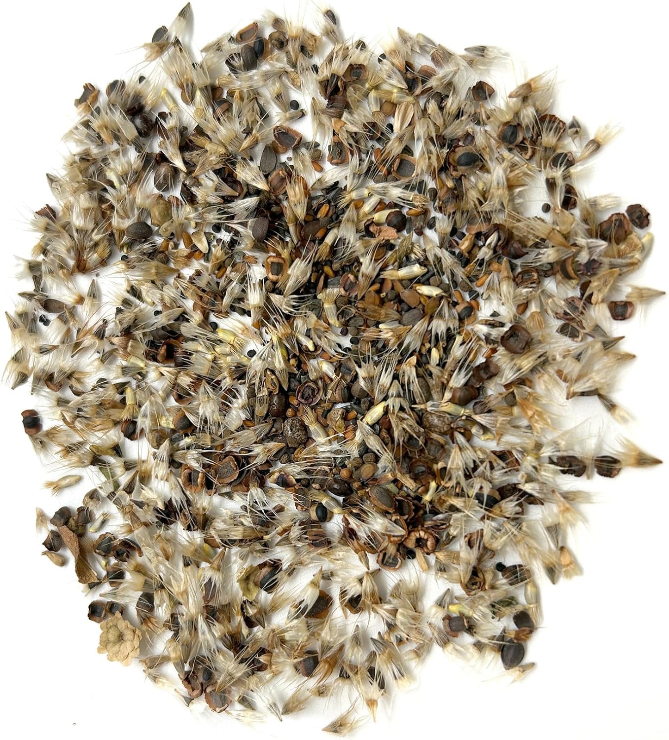 Ferry-Morse Colorado Western Mix Bulk Wildflower Seeds, 1lb