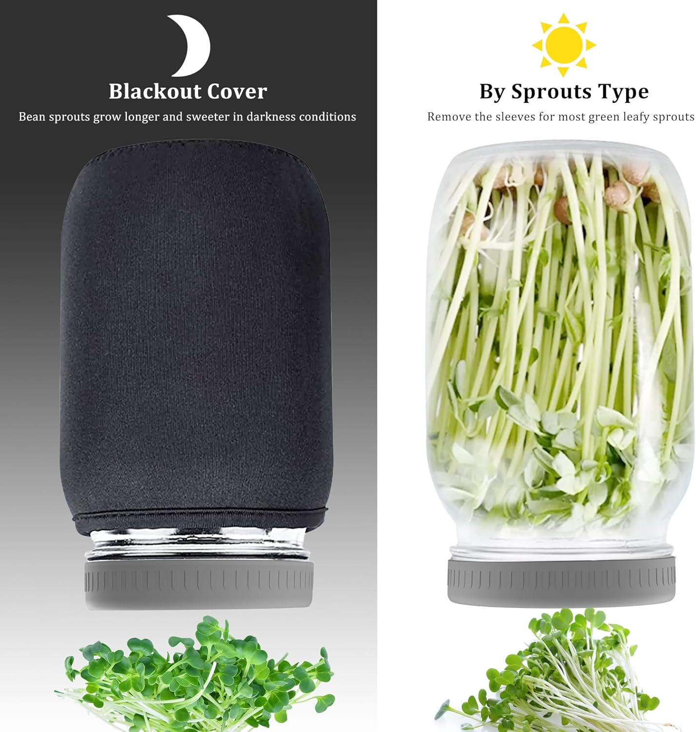 Organic Seed Sprouting Jar Kit – 2 × 32 oz Wide-Mouth Mason Jars with Stainless-Steel Sprouter Lids & Stand, Blackout Sleeves, Drain Tray – Grow Broccoli, Alfalfa & Bean Microgreens